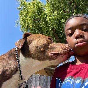 Meet your Posher, Adrian